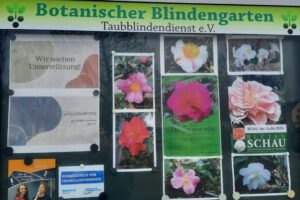 Ausflug0