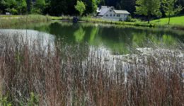 90 Jahre Botanischer Garten Oberholz – Großes Jubiläums-Kräuterfest