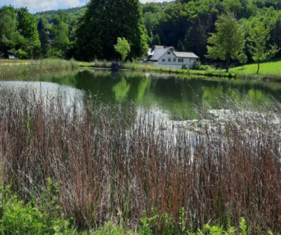 90 Jahre Botanischer Garten Oberholz – Großes Jubiläums-Kräuterfest