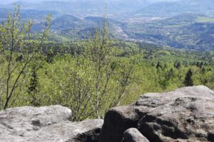 IMG-20250428-WA0014