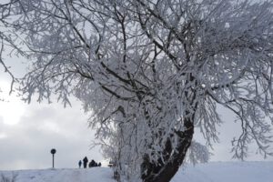 IMG-20250428-WA0058