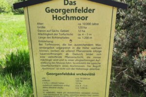 IMG-20250602-WA0012