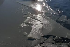 IMG-20210204-WA0002 IMG-20210204-WA0002