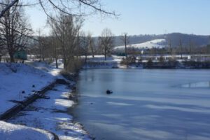 IMG-20210204-WA0004 IMG-20210204-WA0004