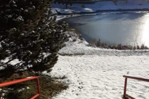 IMG-20210204-WA0005 IMG-20210204-WA0005