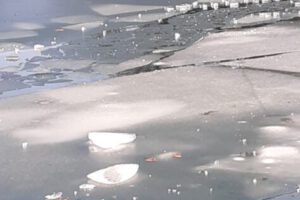 IMG-20210226-WA0002 IMG-20210226-WA0002