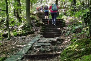 IMG-20260211-WA0008 IMG-20260211-WA0008