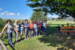 IMG-20260211-WA0012 IMG-20260211-WA0012