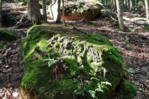 IMG-20260211-WA0016 IMG-20260211-WA0016