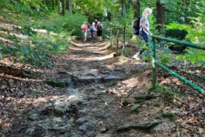 IMG-20260211-WA0019 IMG-20260211-WA0019