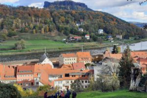 IMG-20260211-WA0040 IMG-20260211-WA0040