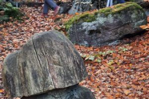 IMG-20260211-WA0041 IMG-20260211-WA0041