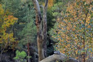 IMG-20260211-WA0044 IMG-20260211-WA0044