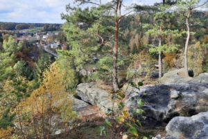 IMG-20260211-WA0045 IMG-20260211-WA0045