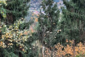 IMG-20260211-WA0051 IMG-20260211-WA0051