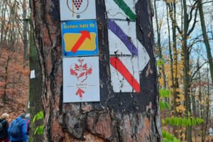 IMG-20260211-WA0054 IMG-20260211-WA0054