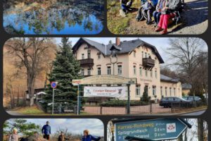 IMG-20260211-WA0055 IMG-20260211-WA0055