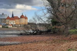 IMG-20260211-WA0065 IMG-20260211-WA0065