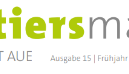 Quartiermagazin-Ausgabe-15.-Bad-Schlema