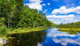 Breathtaking shot of a clear lake with the reflection of vibrant trees and the blue sky